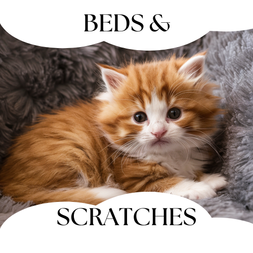 beds and scratches