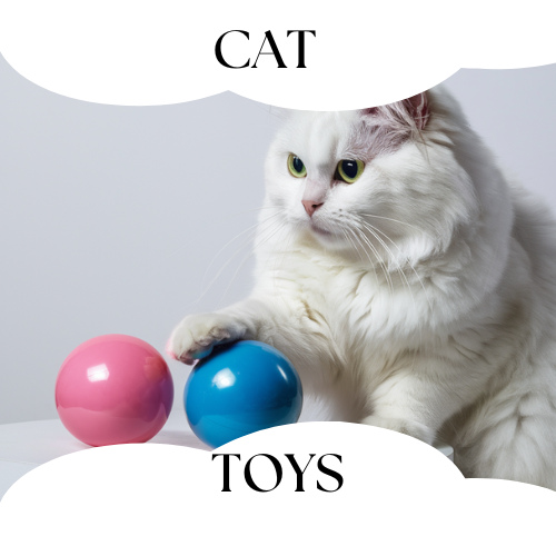 cat toys