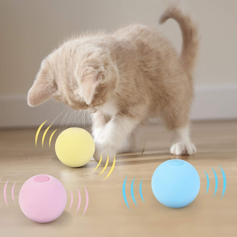 Smart Cat Interactive Ball