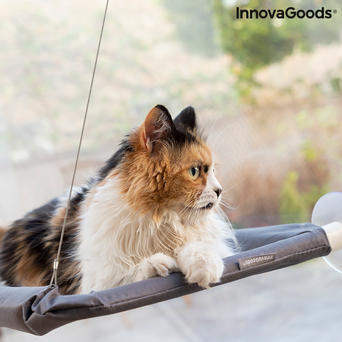 Hanging Cat Hammock