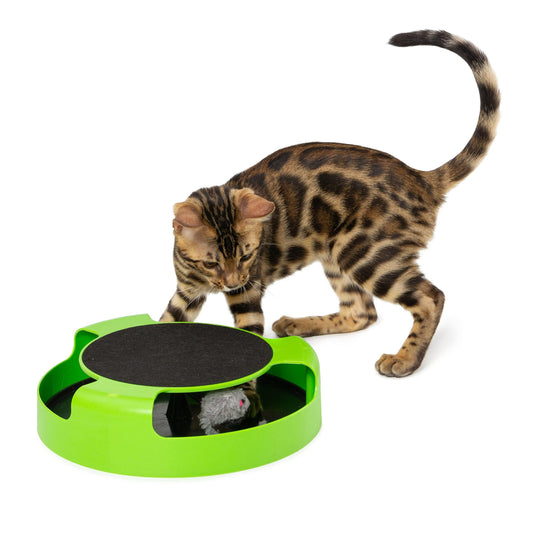 Interactive Cat Green Spinning