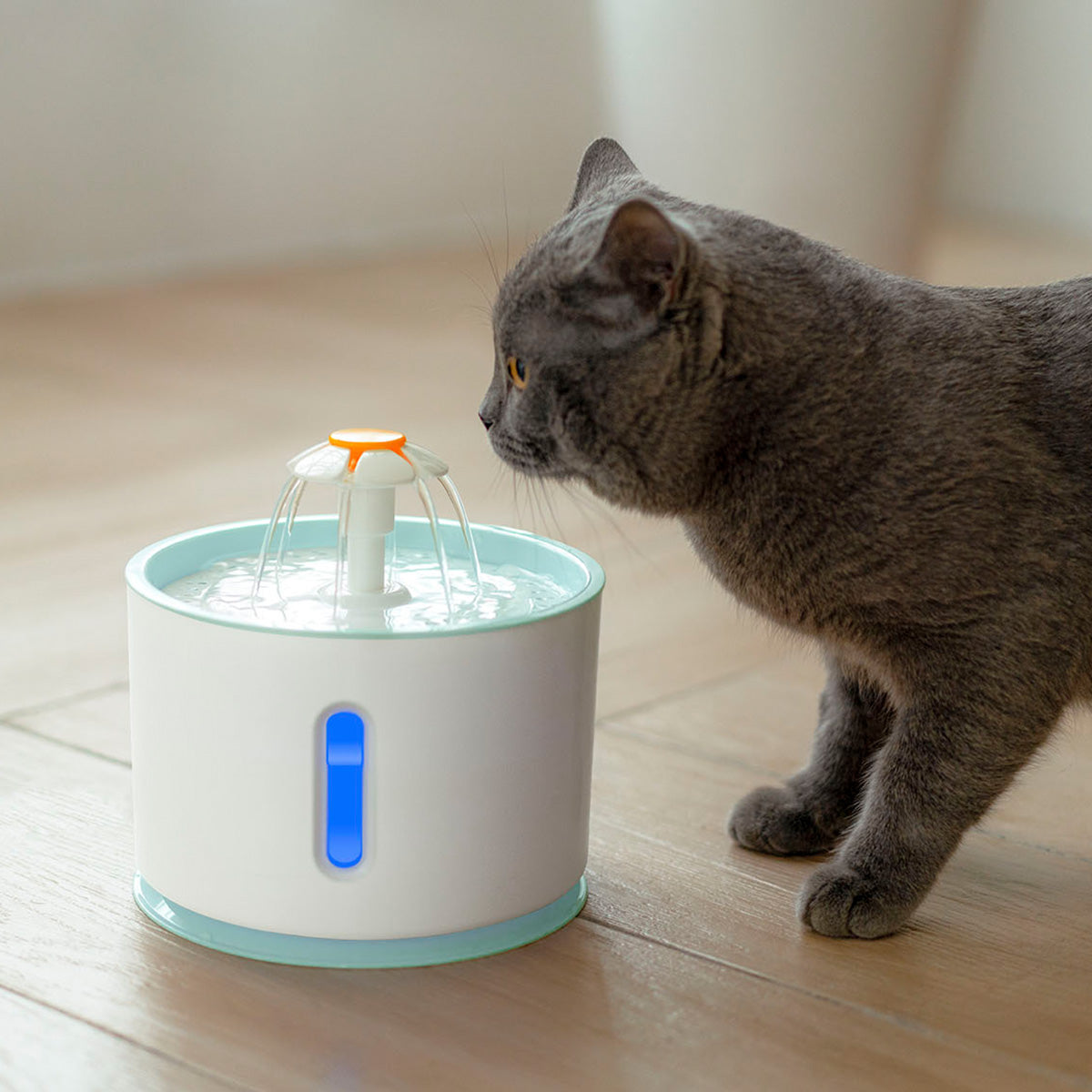 Cat Water Fountain Dispenser