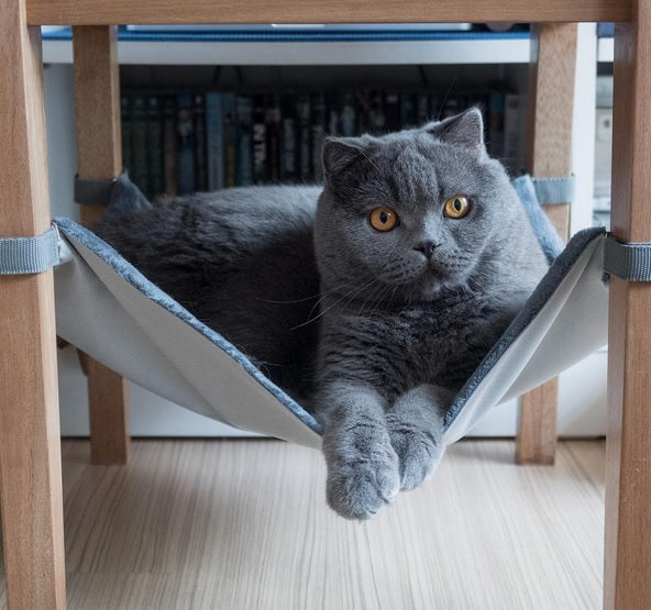 Warm Hanging Cat Hammock