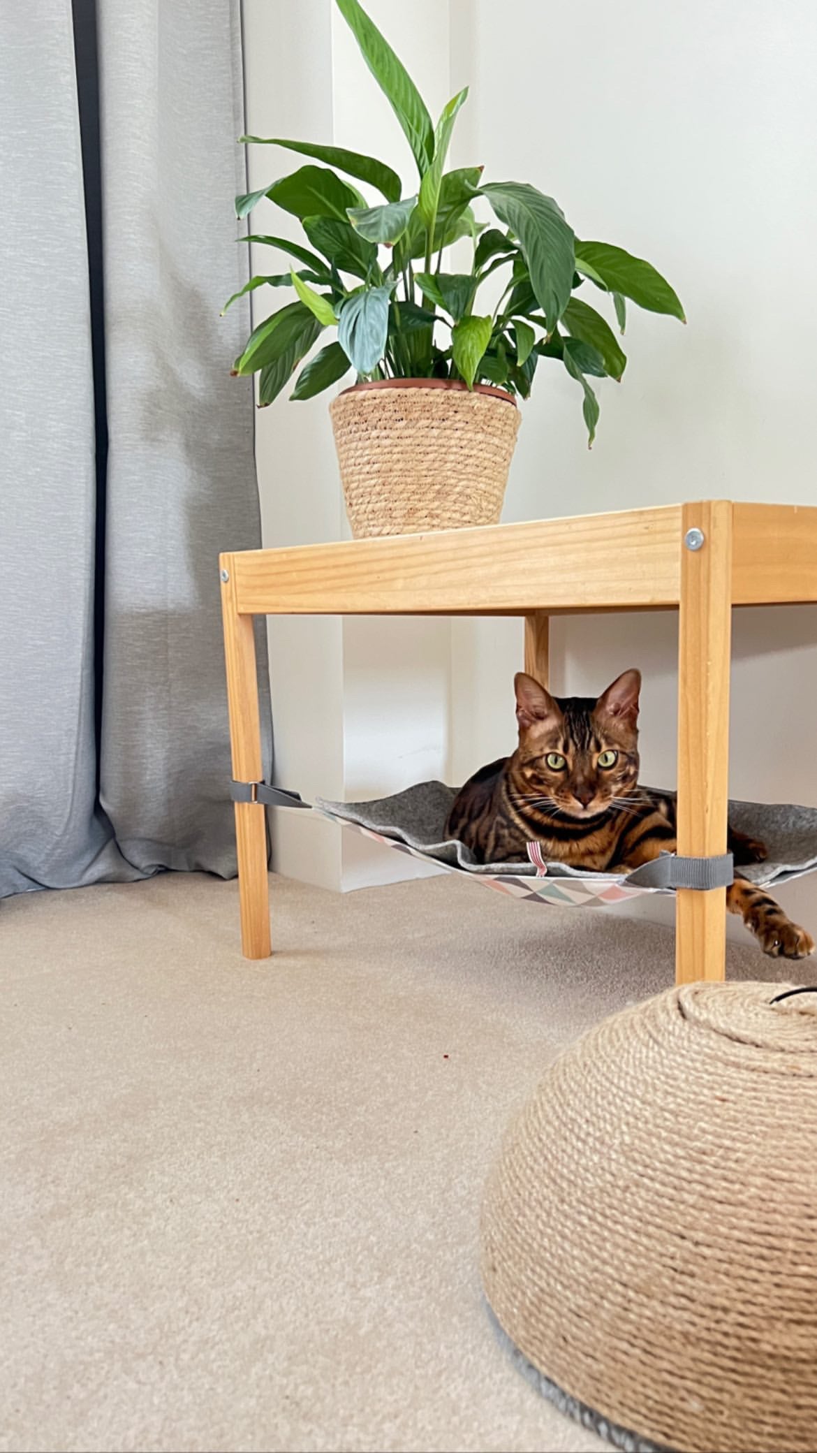 Warm Hanging Cat Hammock